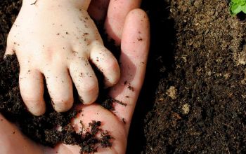 Child hand placing soil in adult hand in the garden.