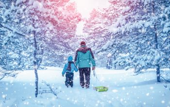 Adult and child holding hands pulling a sled through a winter forest