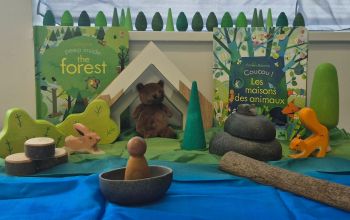 Books, Baskets and Beyond