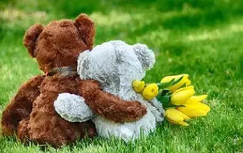 Teddy bears holding tulips hugging outside