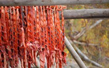 Salmon drying using traditional wood frame on beach