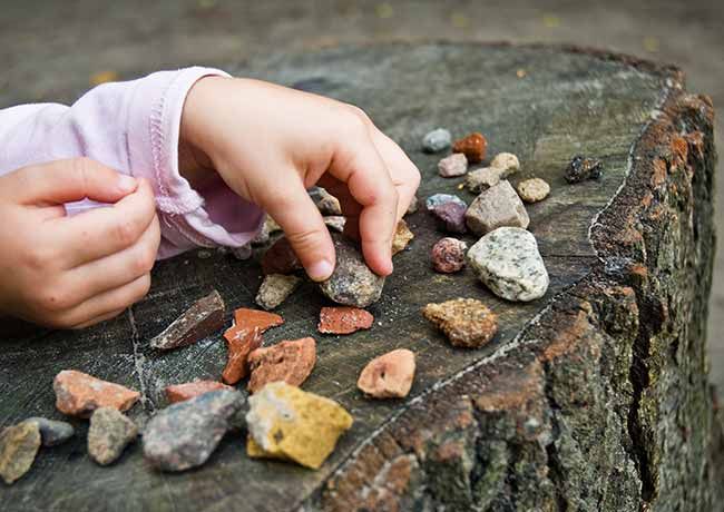 child hands placing a small rock on a tree stump amidst a random assortment of rocks.